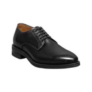 Ramsey Plain Toe Derby Shoes